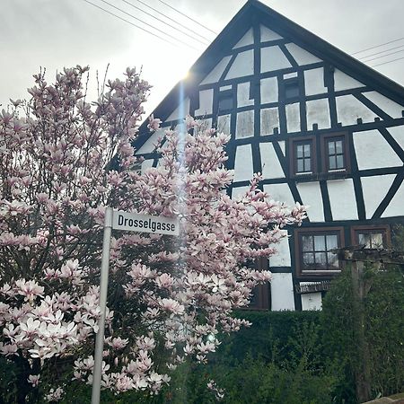Das Pautzen Haus 道恩 外观 照片