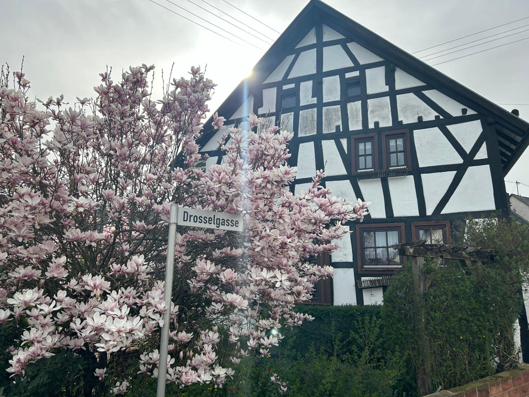 Das Pautzen Haus 道恩 外观 照片