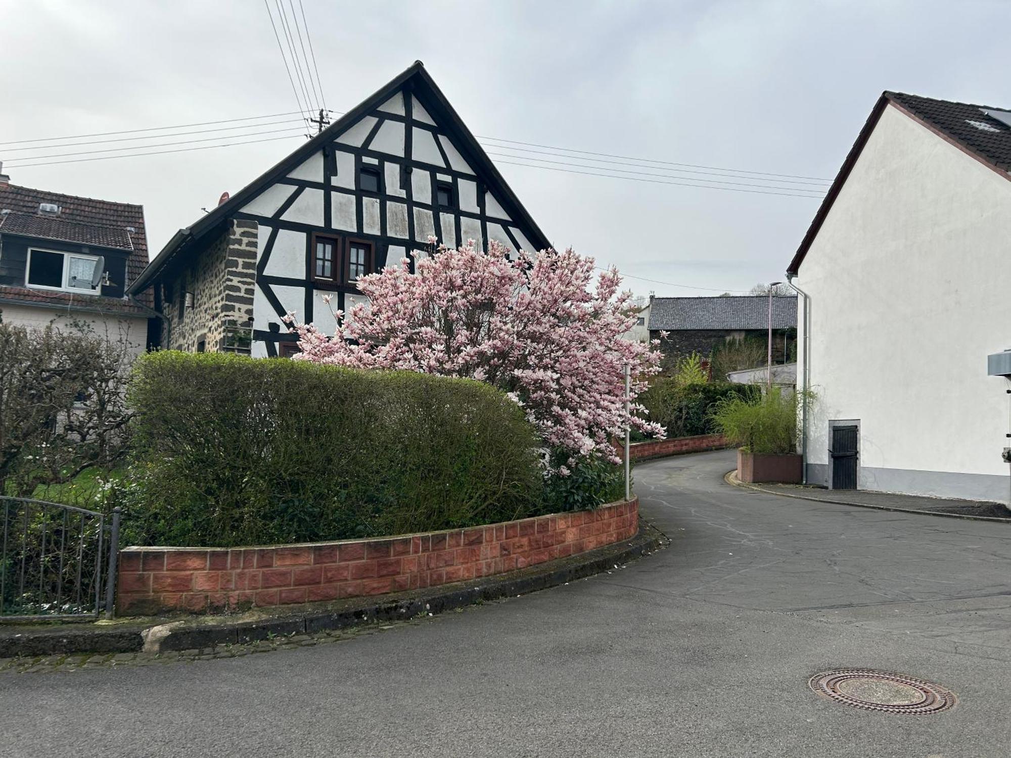 Das Pautzen Haus 道恩 外观 照片