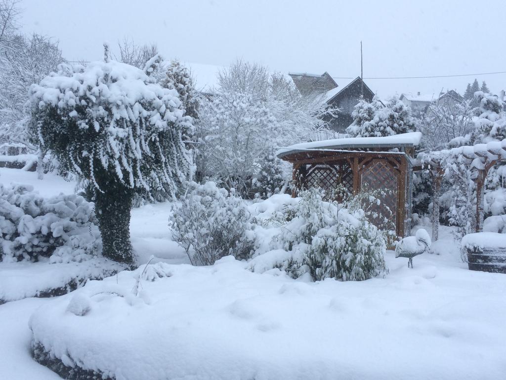 Das Pautzen Haus 道恩 外观 照片